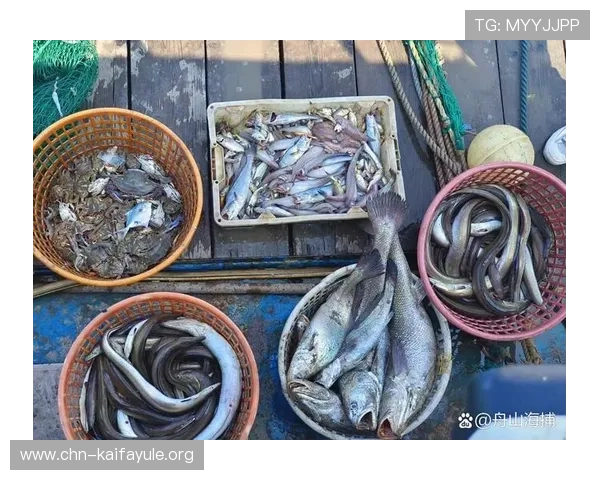 K8捕鱼试玩如何快速上手,详细攻略让新手玩家也能轻松成为捕鱼高手 K8捕鱼试玩如何快速上手,详细攻略让新手玩家也能轻松成为捕鱼高手